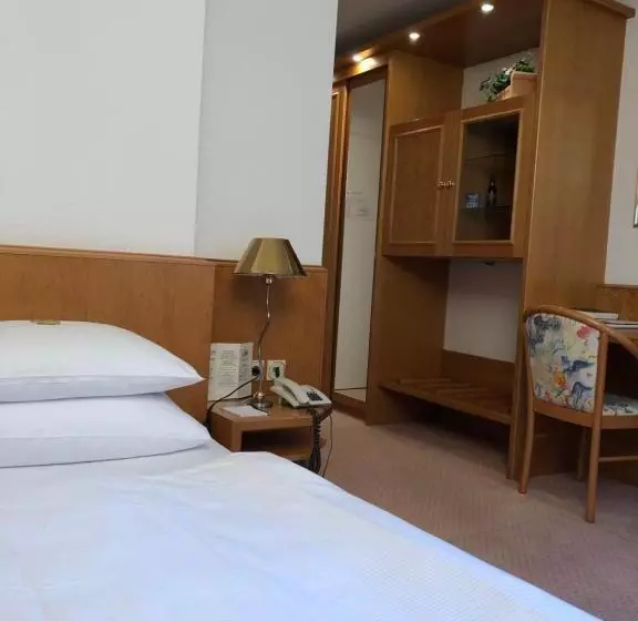 اتاق عادی یک تخته, Landhotel Bellevue