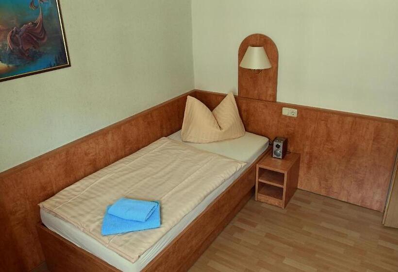 스탠다드 싱글 룸, Garni Goldene Henne