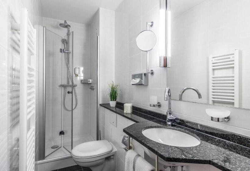 غرفة قياسية فردية, Garni Oberrhein