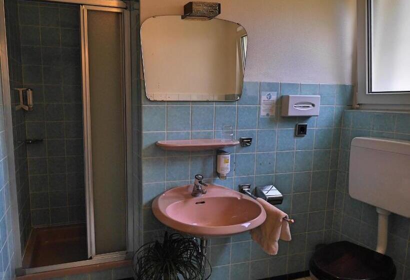 Номер Economy Индивидуальный, Landgasthof Blume