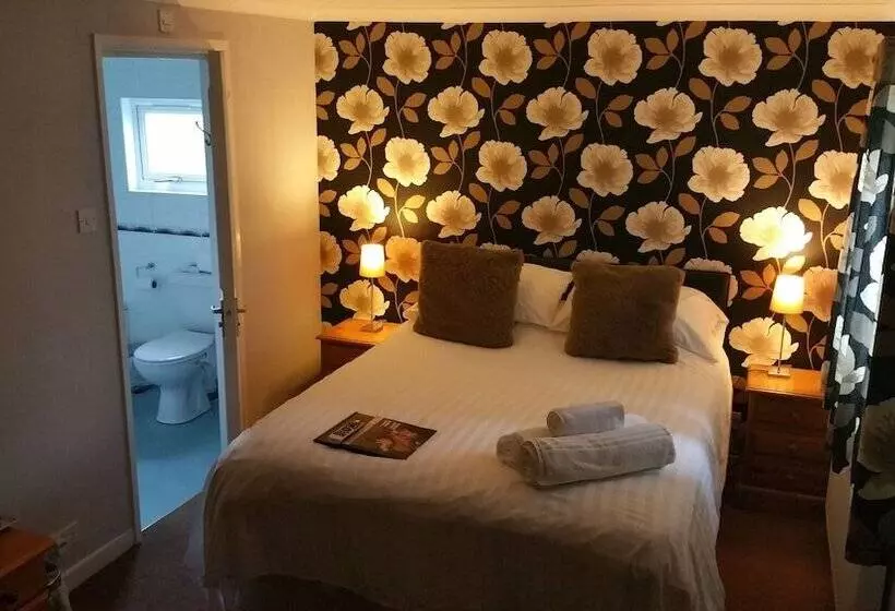 Standard-huone, Plas Hyfryd