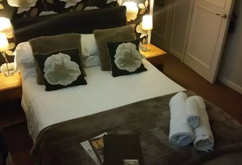 Standard-huone, Plas Hyfryd