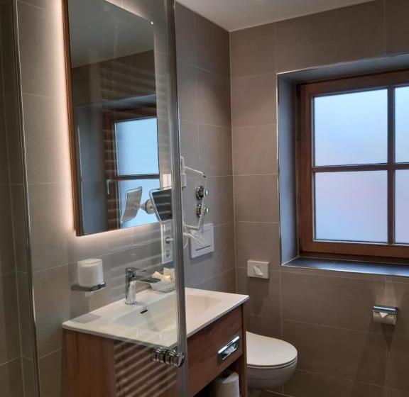 标准单人间, Deva Hotel Alpenglück