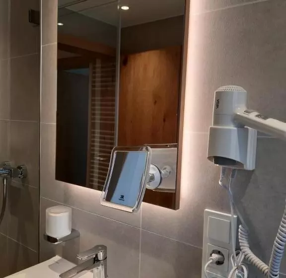 Standard Yhden Hengen Huone, Deva Hotel Alpenglück
