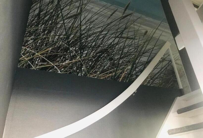 스탠다드 싱글 룸, Homestay Harlingen