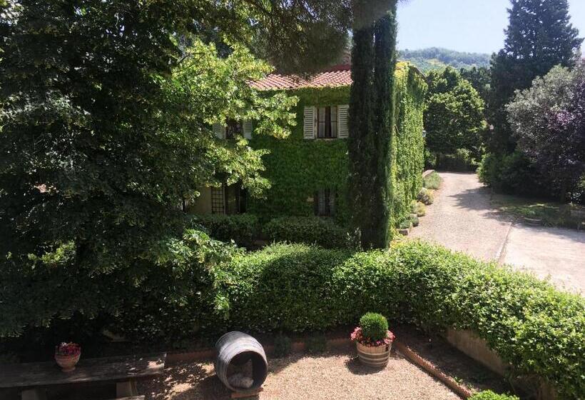 منزل غرفة نوم واحدة, Frascole