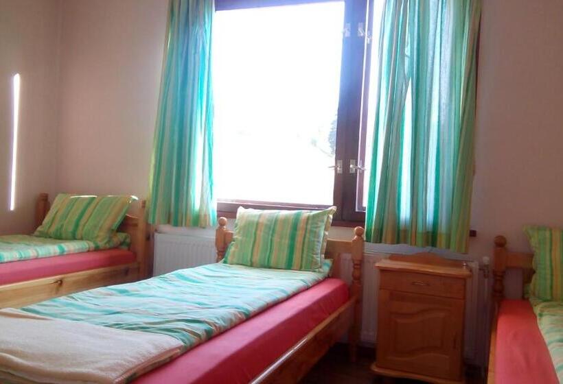 اتاق استاندارد چهارنفره با بالکن, Guest House Lorian