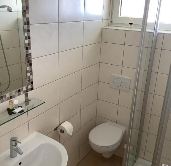 Номер Стандарт, Pension N Ring