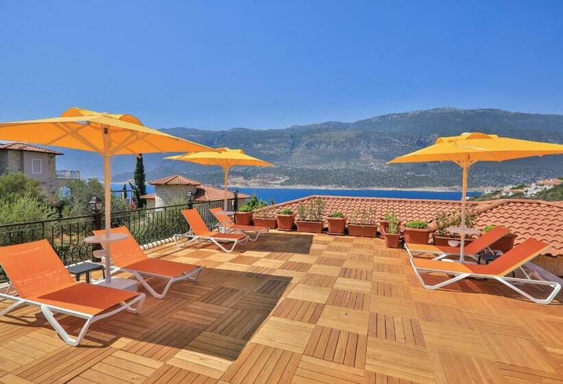 Quarto standard, Atalante