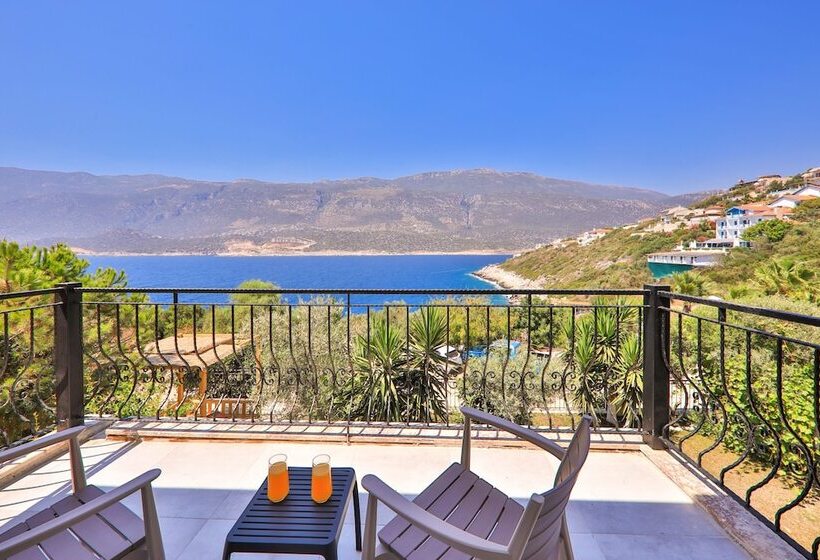 Quarto standard, Atalante