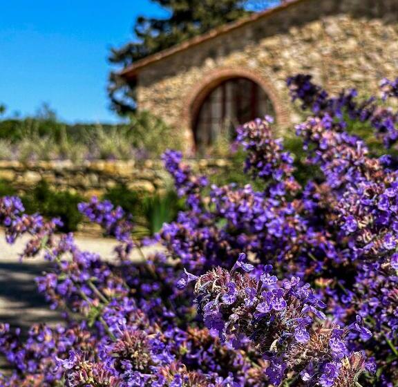 Junior Süit, La Pietra Del Cabreo
