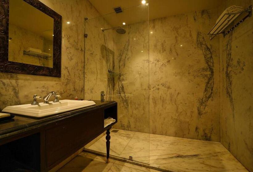 Номер Deluxe, Sahdev Bagh