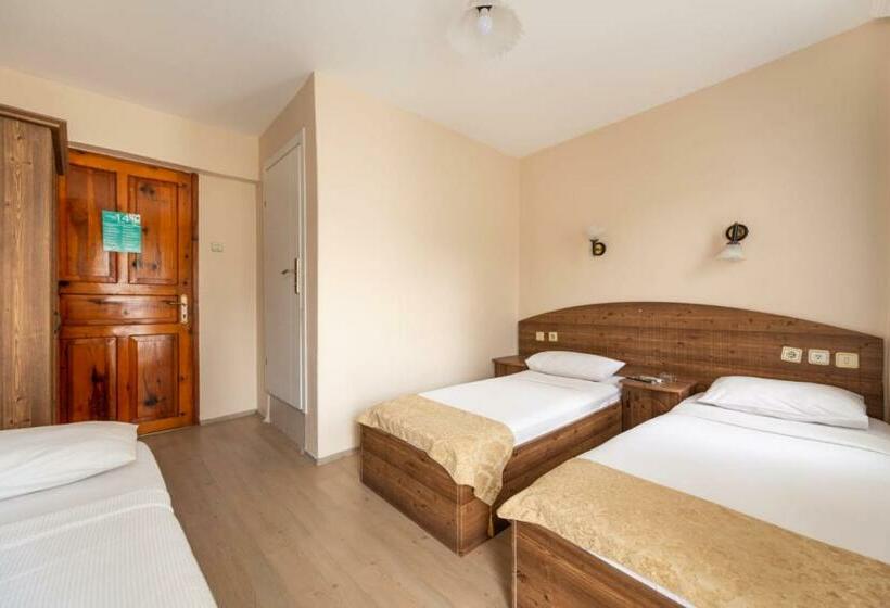 חדר סטנדרט לשלושה, Lİmon Otel FoÇa