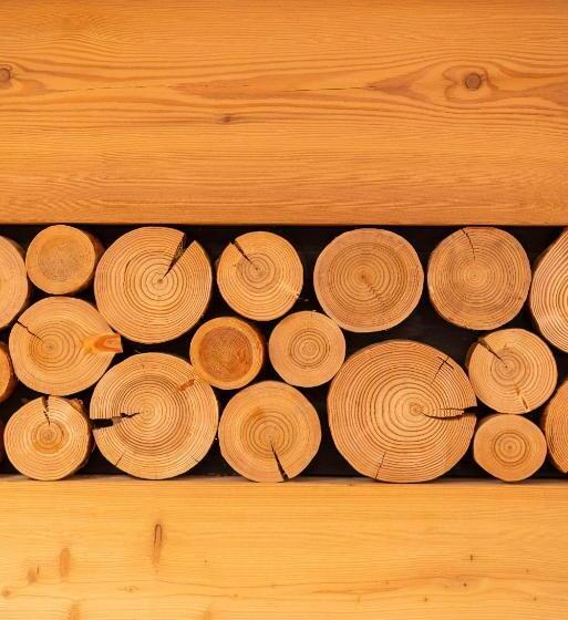 דירת חדר, Casera Pian Grand Wellness Lodge