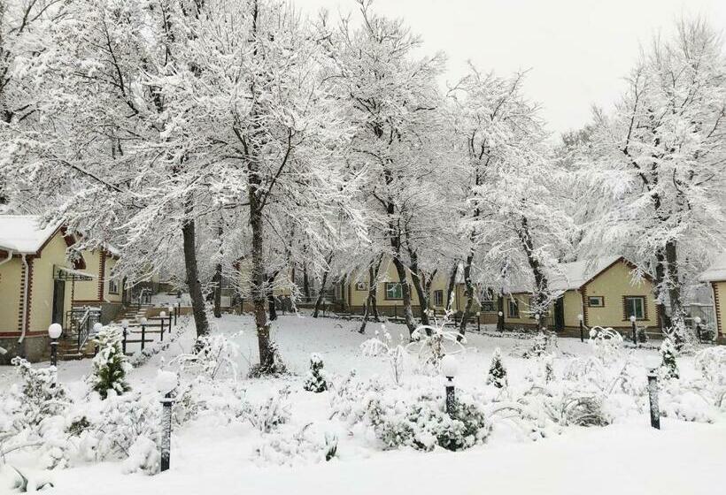 Chambre Standard, Selena