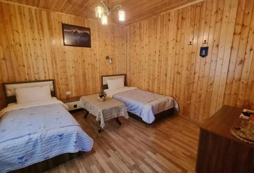 Chambre Standard, Selena