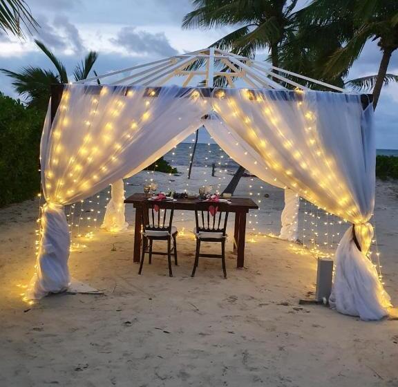 带海景的标准房, Puerta Del Mar Cozumel