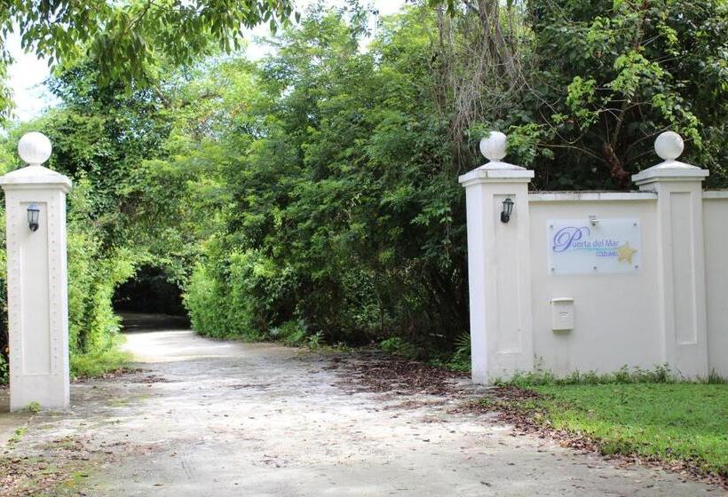 高级套房带海景, Puerta Del Mar Cozumel