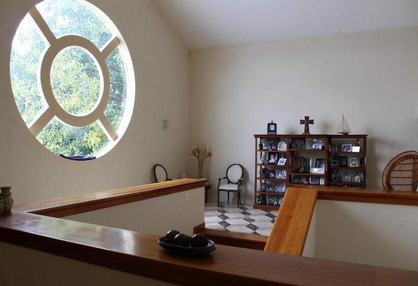 高级套房带海景, Puerta Del Mar Cozumel