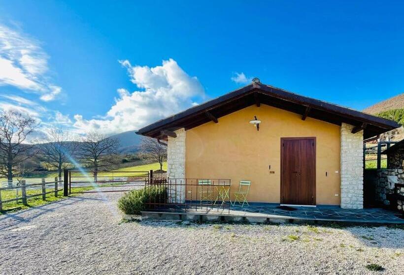 דירת חדר, Agriturismo Casale Montebello