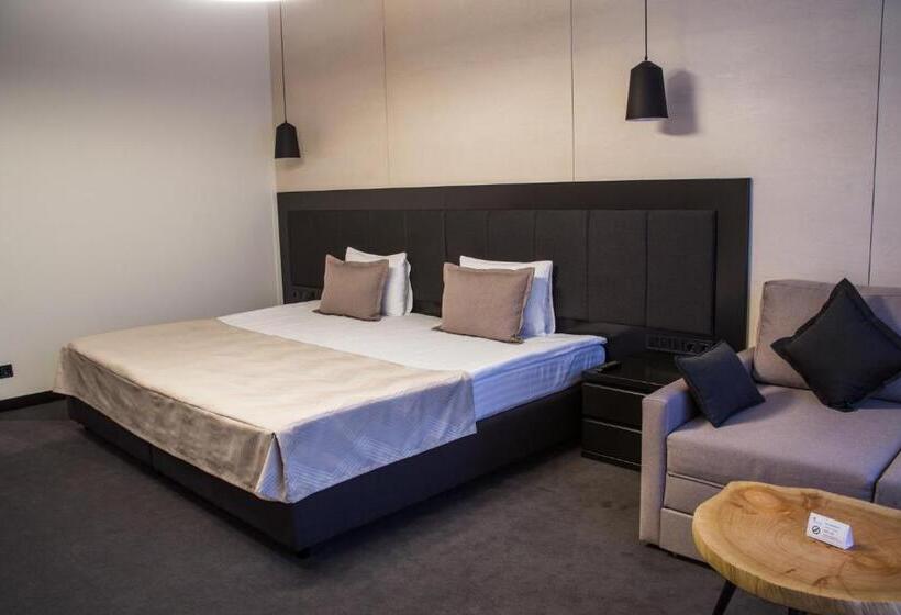 חדר סטנדרט יחיד עם מרפסת, Sobi