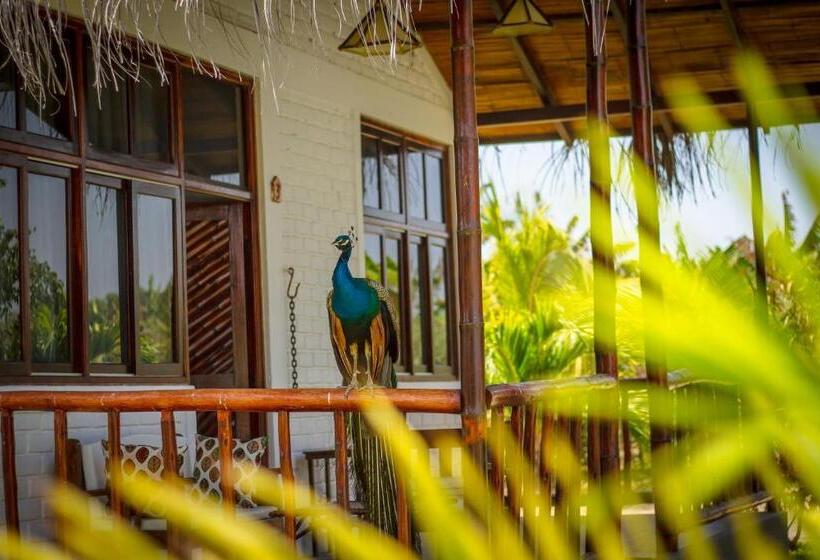 اتاق استاندارد, La Choza Bungalows