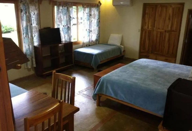 景色の見えるスタンダード４人部屋, Playa Reina