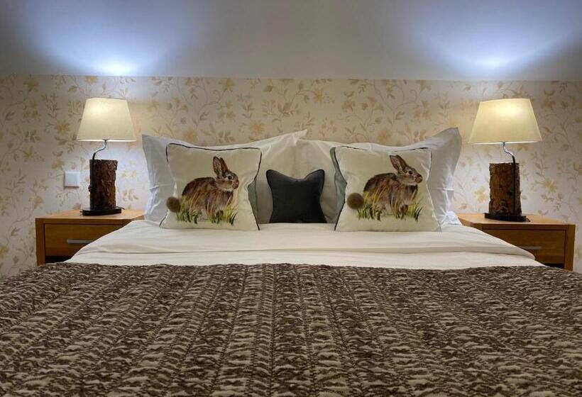 バルコニー付きスタンダードルーム, Pensiunea Doina Bucovinei