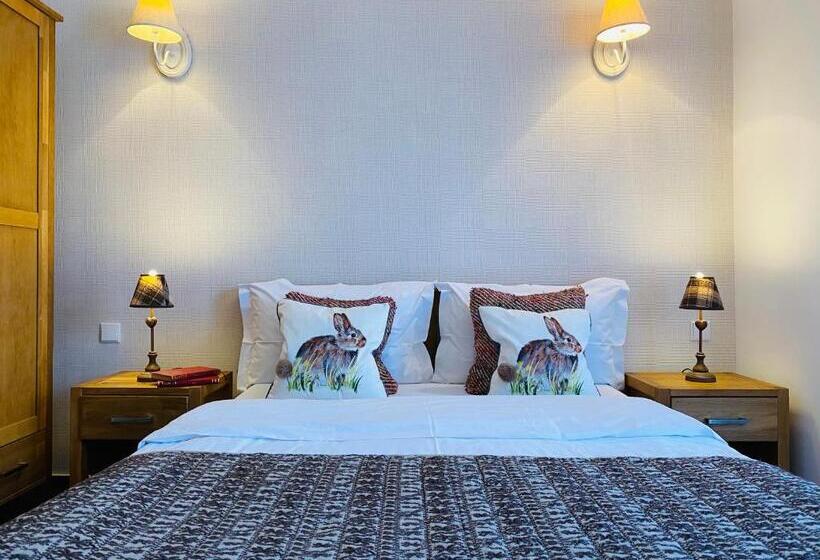 バルコニー付きスタンダードルーム, Pensiunea Doina Bucovinei