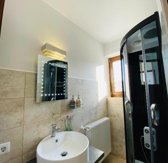 バルコニー付きスタンダードルーム, Pensiunea Doina Bucovinei