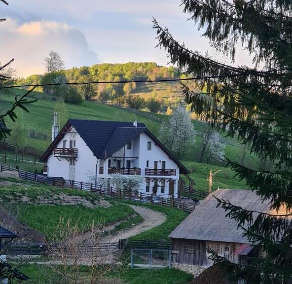 １ベッドルームハウス, Pensiunea Doina Bucovinei