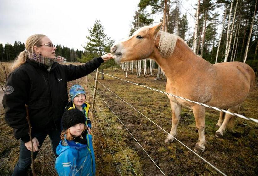 Номер Стандарт Индивидуальный, Mellangården