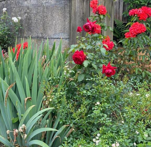 غرفة قياسية, B&b Tannen124