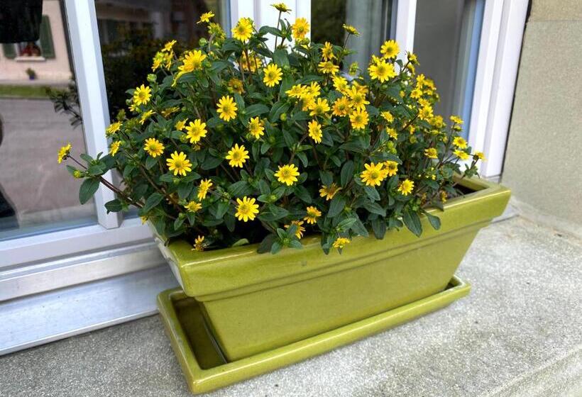 غرفة قياسية, B&b Tannen124