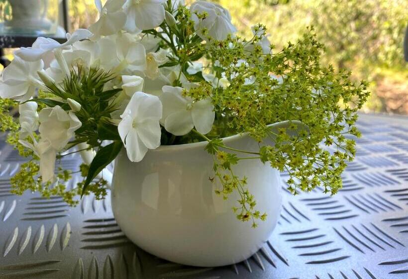 غرفة قياسية, B&b Tannen124