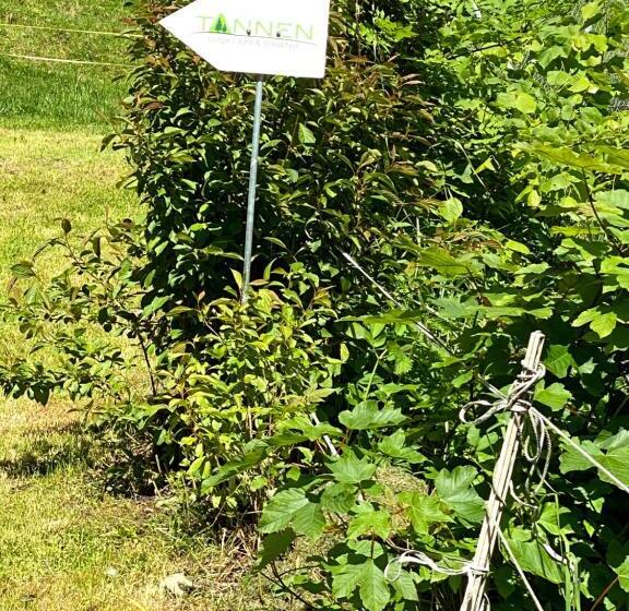 غرفة قياسية, B&b Tannen124