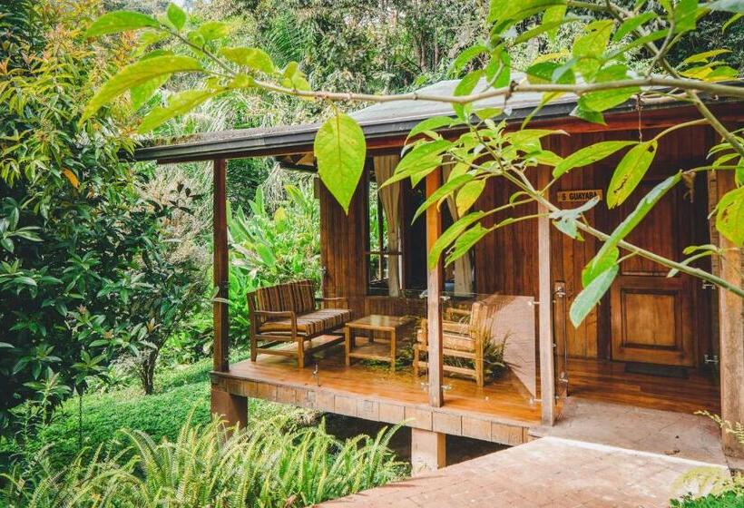 Номер Deluxe Кровать Кинг, Piripe Wellness Lodge