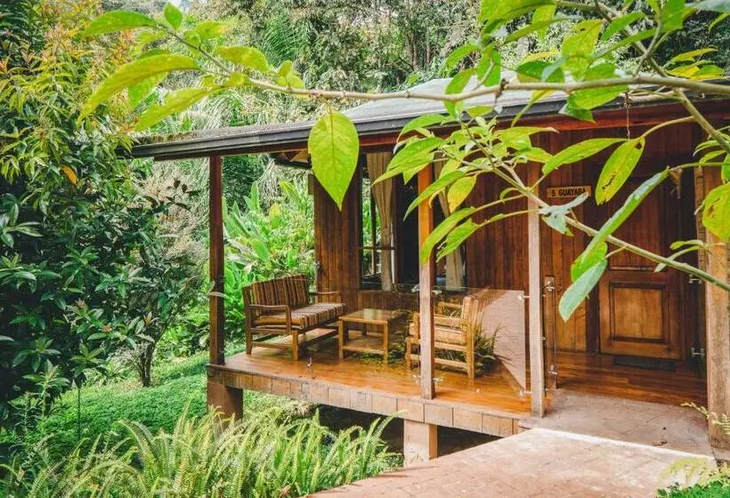 キングサイズベッドのデラックスルーム, Piripe Wellness Lodge