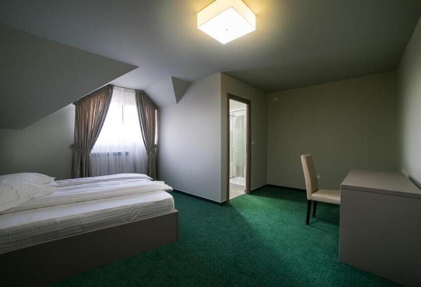 Номер Стандарт, Casa Budisteanu