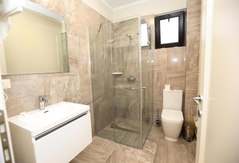 غرفة ديلوكس, Casa Budisteanu