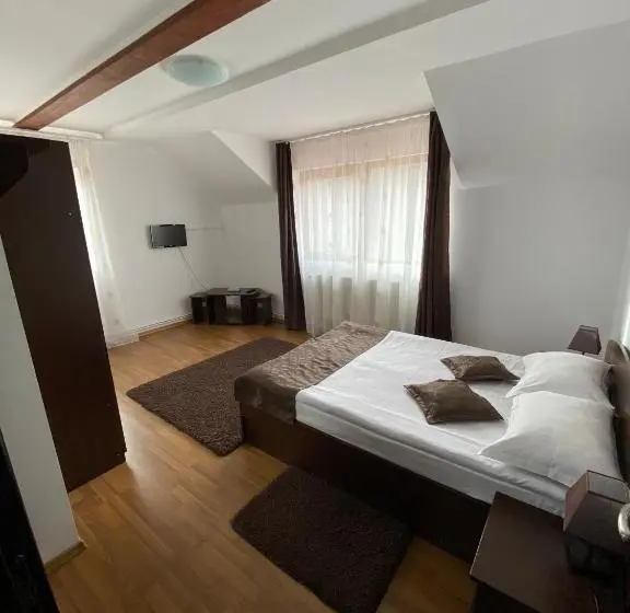 Standard-huone, Pensiunea Cristiion