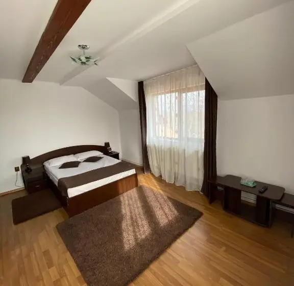 Standard-huone, Pensiunea Cristiion