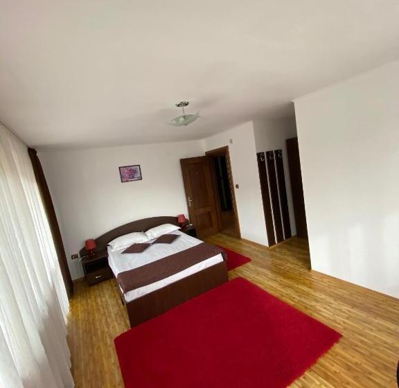 スタンダードルーム, Pensiunea Cristiion