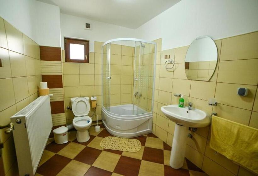 标准间, Pensiunea Montana Muntele Mic