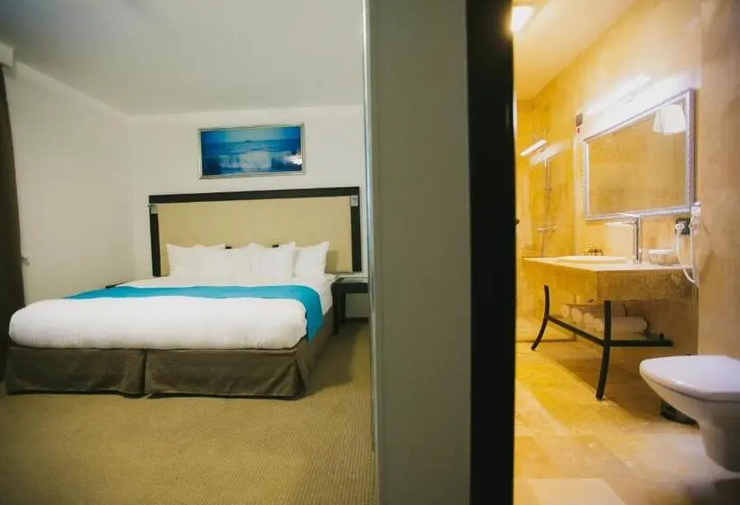 スパアクセス付スタンダードルーム, Primera Dru Hotel&spa