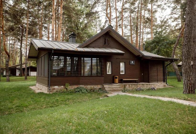 ビラホテル１ベッドルーム, мис доброї надії полтава