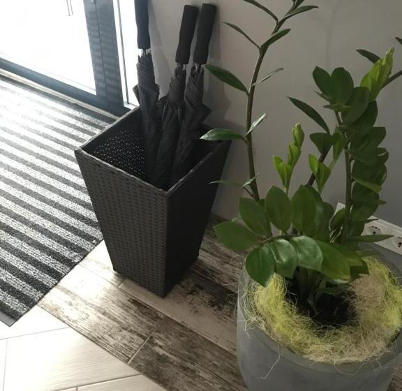 高级大房间, Good Rest