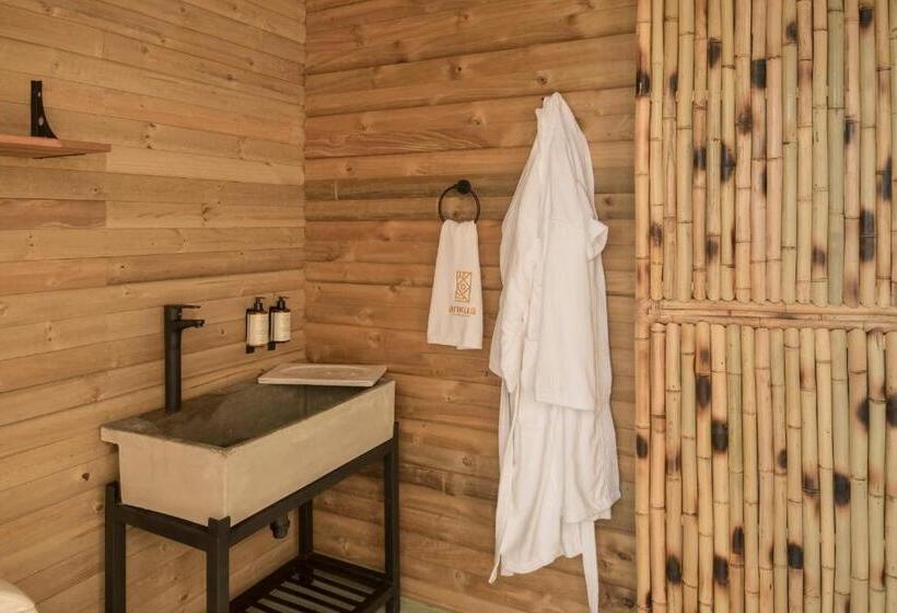 ファミリールーム, Ankua Eco