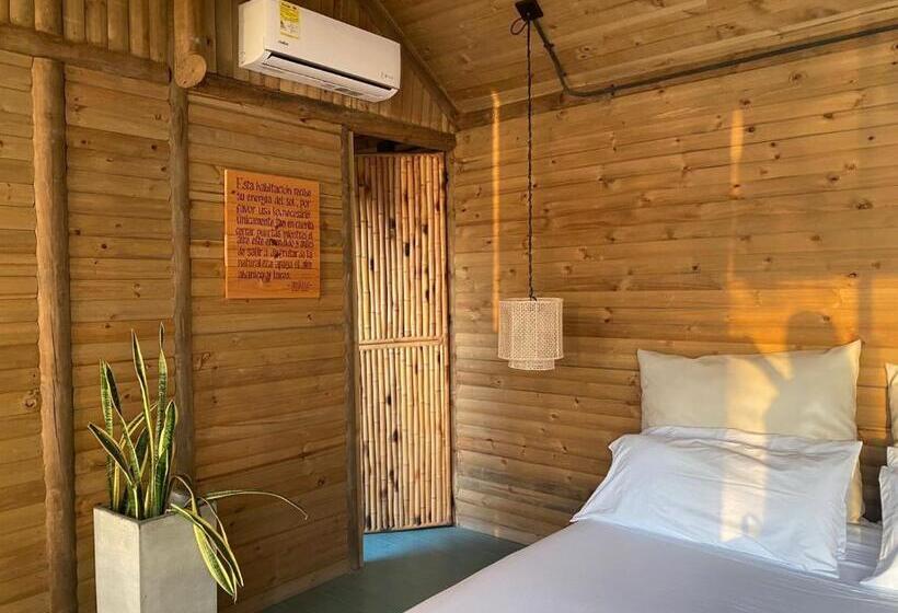 ファミリールーム, Ankua Eco