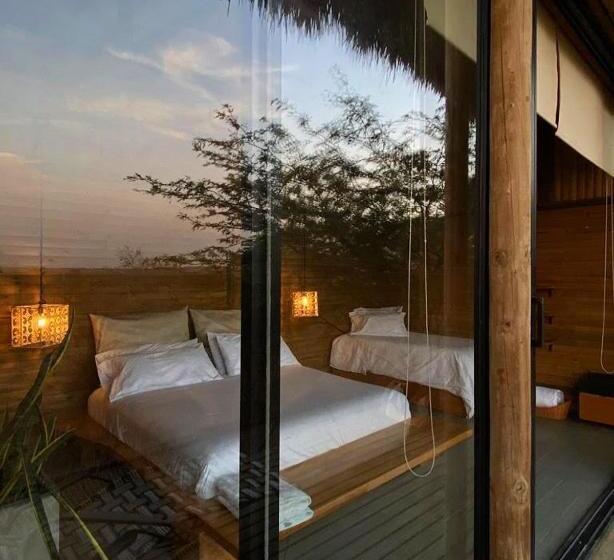 ファミリールーム, Ankua Eco